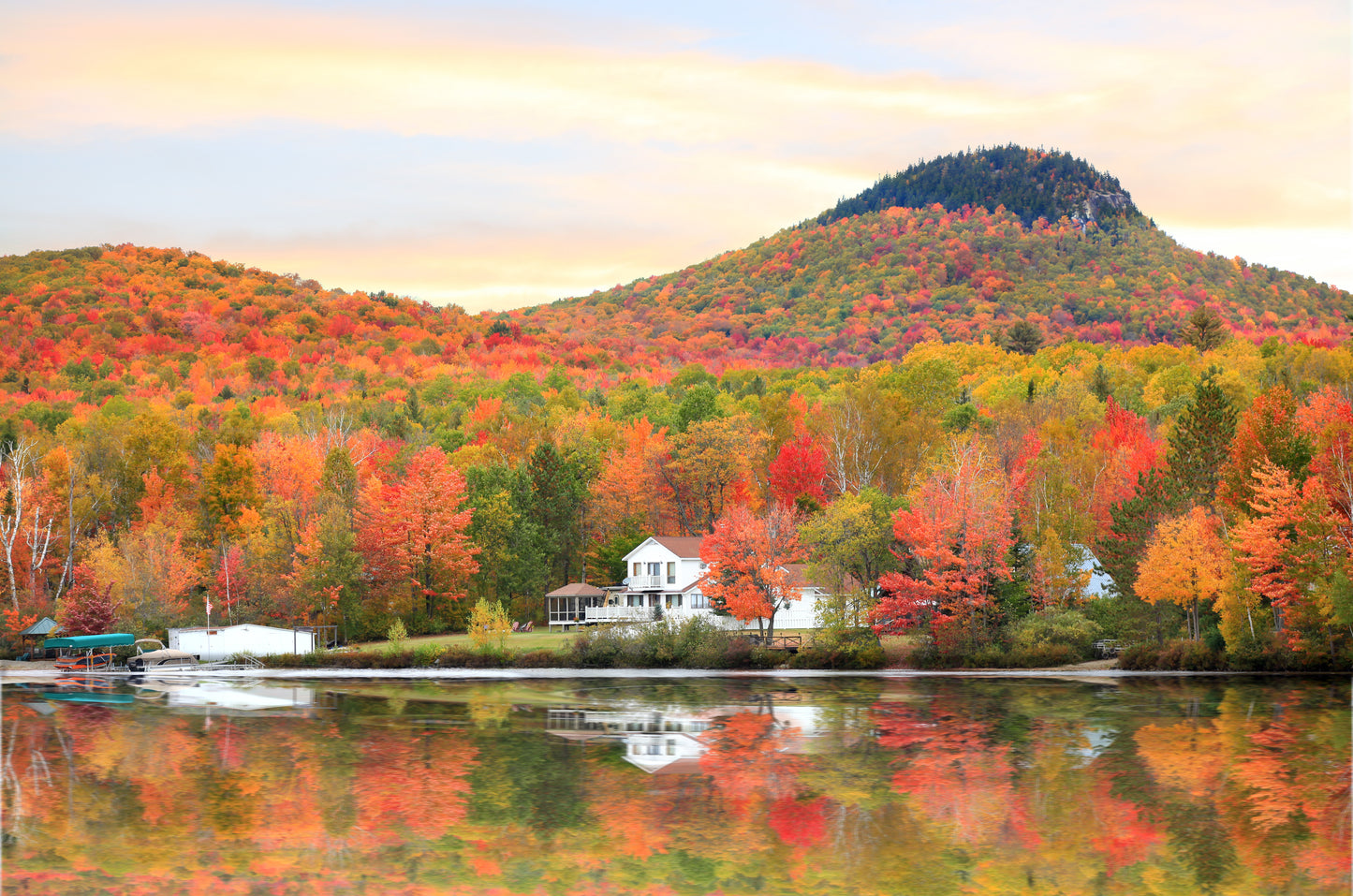 VERMONT AUTUMN DELIGHT