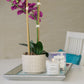 Unbound Candles - Paris Expresso - Candle on display 2